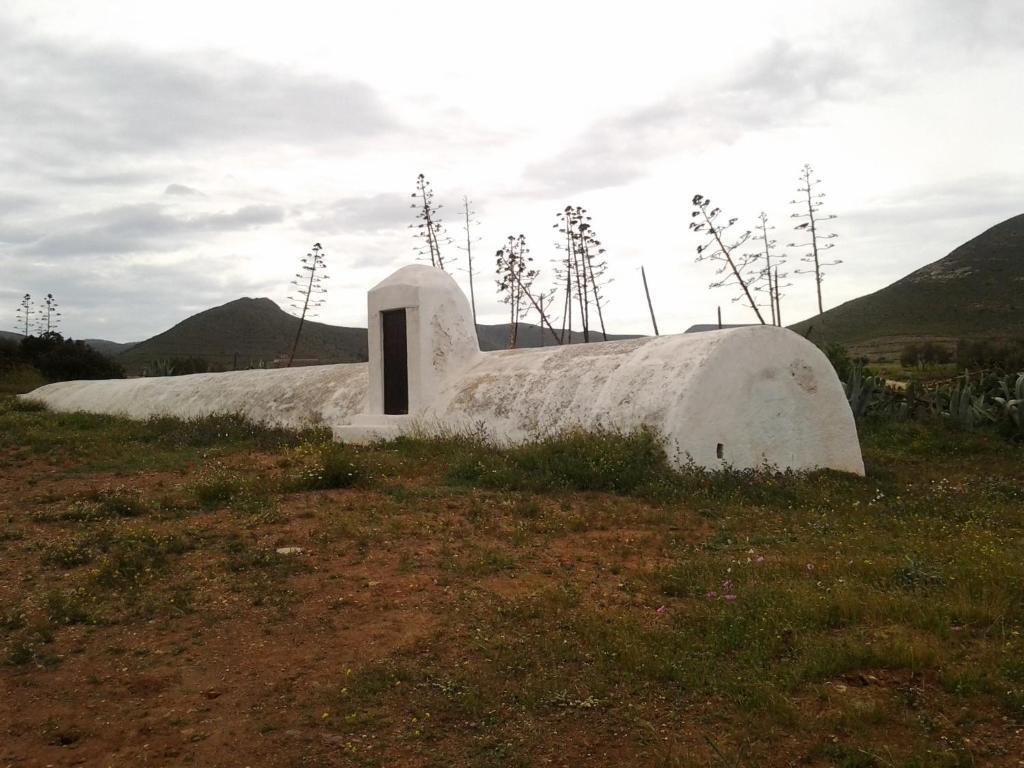Olivares Rural Los Albaricoques Exterior foto