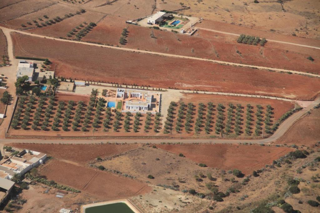Olivares Rural Los Albaricoques Exterior foto
